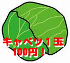 キャベツ１玉100円