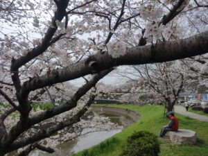 竜田公園