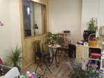 in-roots3.jpg
