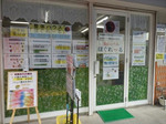 in-toyoharu.jpg
