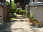 in-tsuruta1.jpg