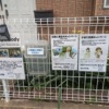 Thumbnail of new posts 078