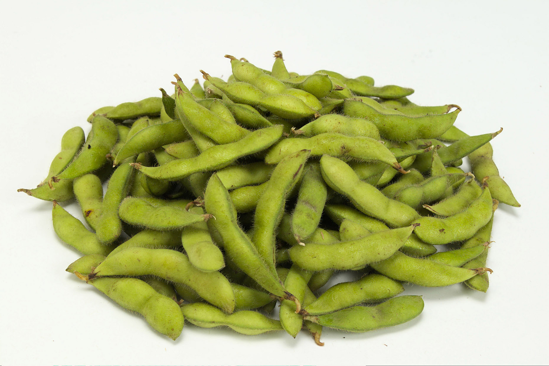 19.ちょっとした豆知識(ホームページ・ブログ更新のネタ)