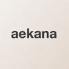 All in One SEO Packで分割ページに自動設定されるnoindexを消す方法 | aekana